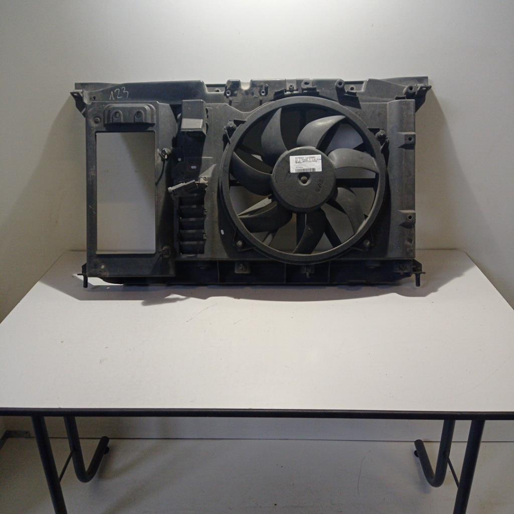 Buse CITROEN C4 2 PHASE 1 Diesel - 1