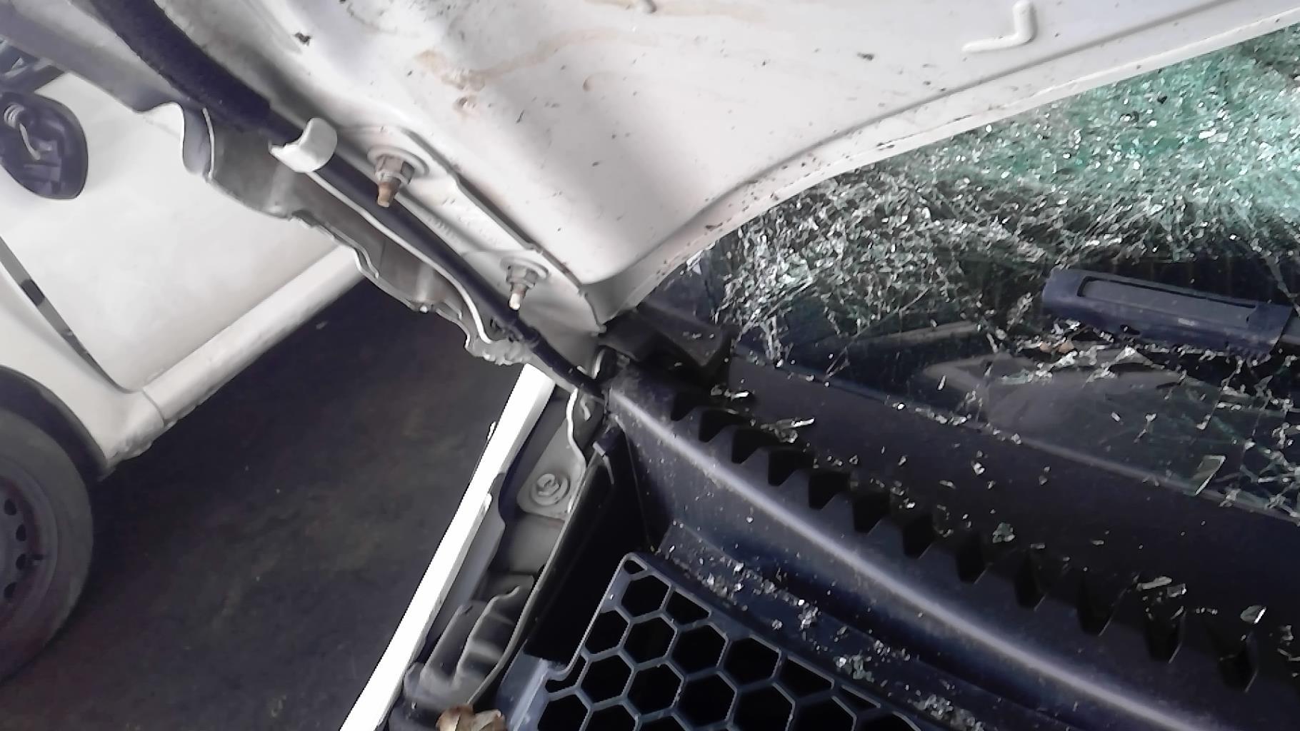 Charniere de capot CITROEN C3 2 PHASE 1 Diesel - 1