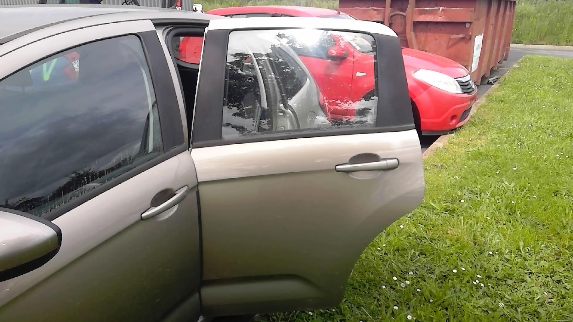 Porte arriere gauche CITROEN C3 2 PHASE 1 Essence - 1