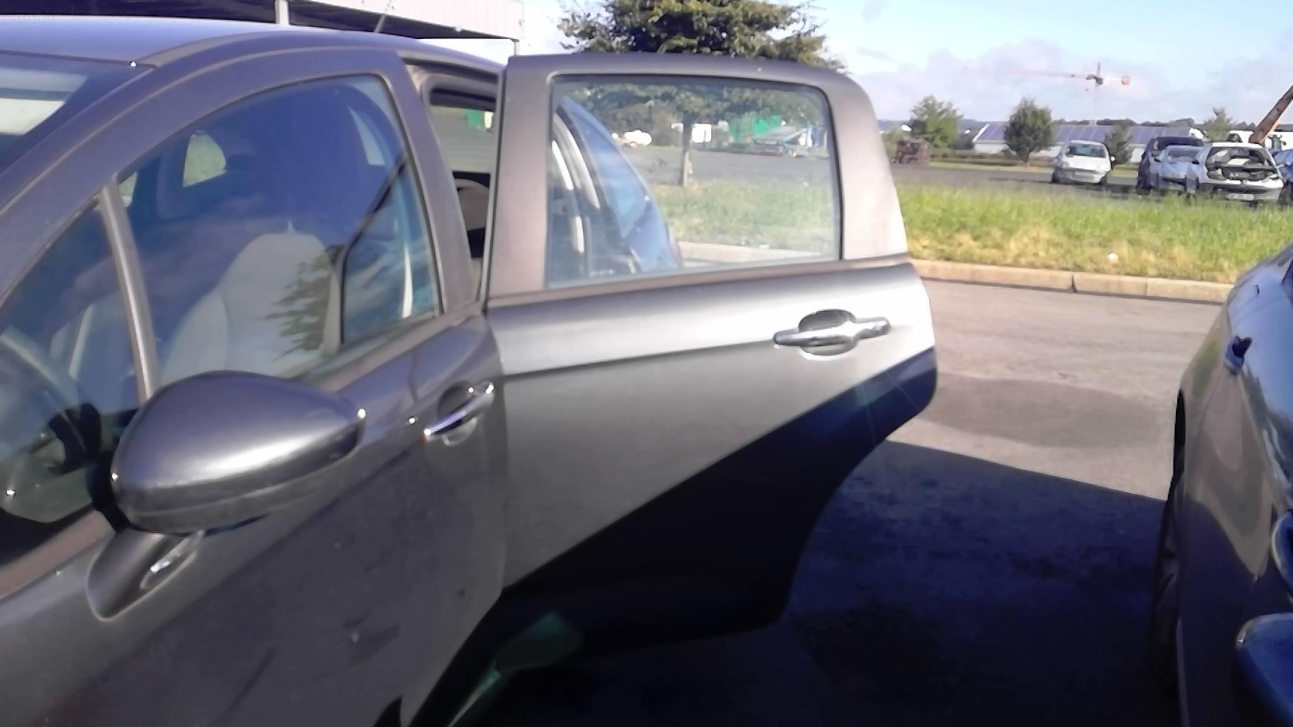 Porte arriere gauche CITROEN C3 2 PHASE 2 Essence - 1
