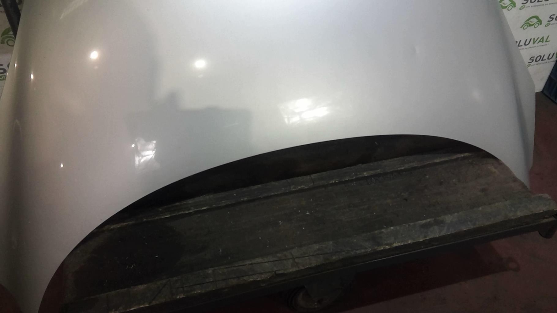 Capot RENAULT GRAND SCENIC 3 PHASE 1 Diesel - 1