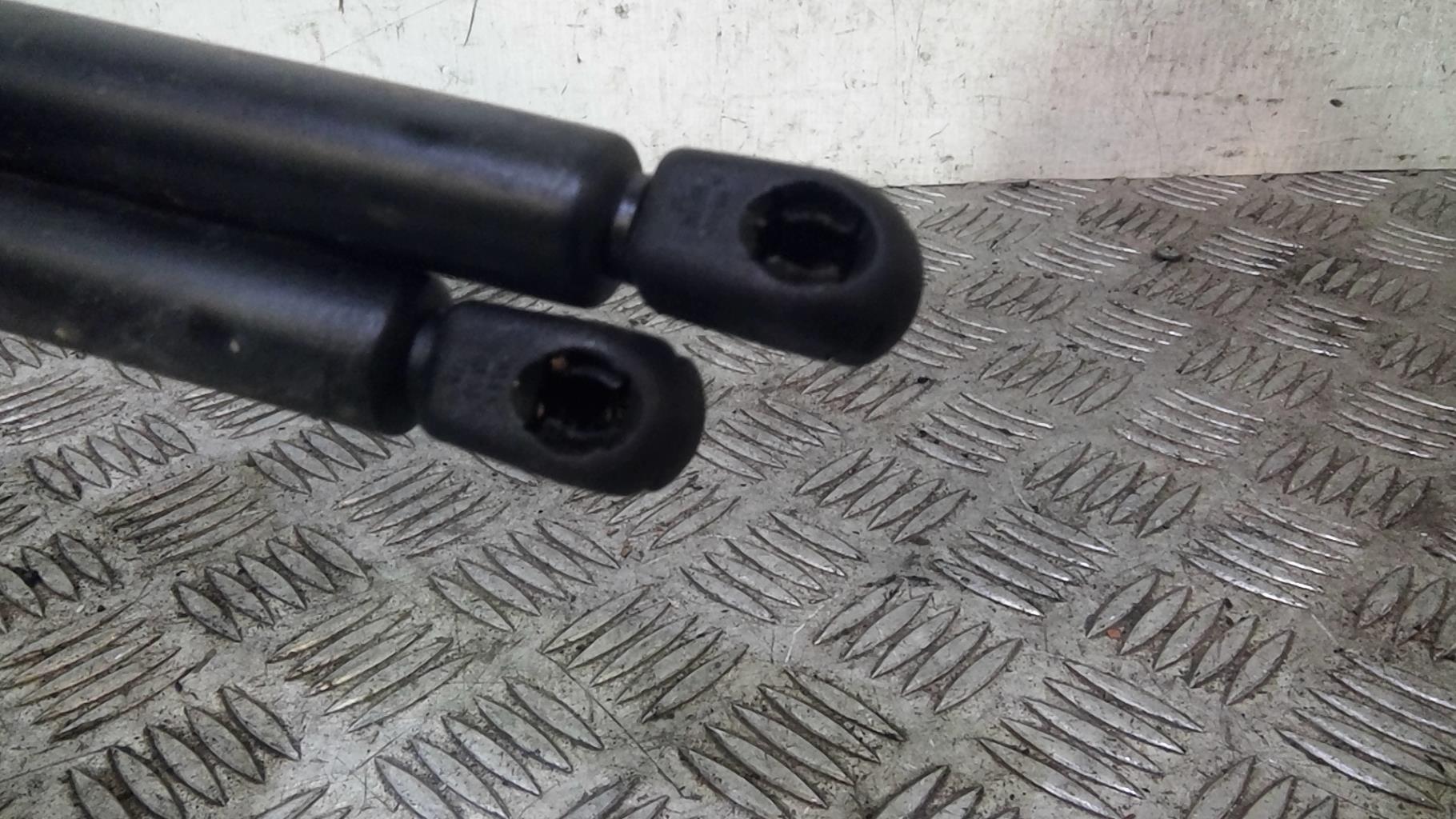 Molla a gas bagagliaio RENAULT SCENIC 1 PHASE 2  - 1