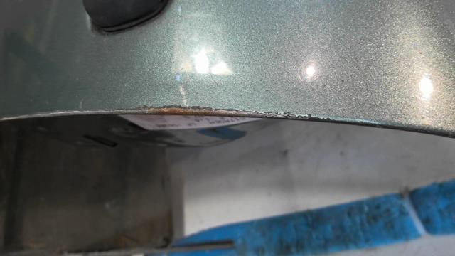 Portiera anteriore sinistra CITROEN C3 1 PHASE 2  - 1