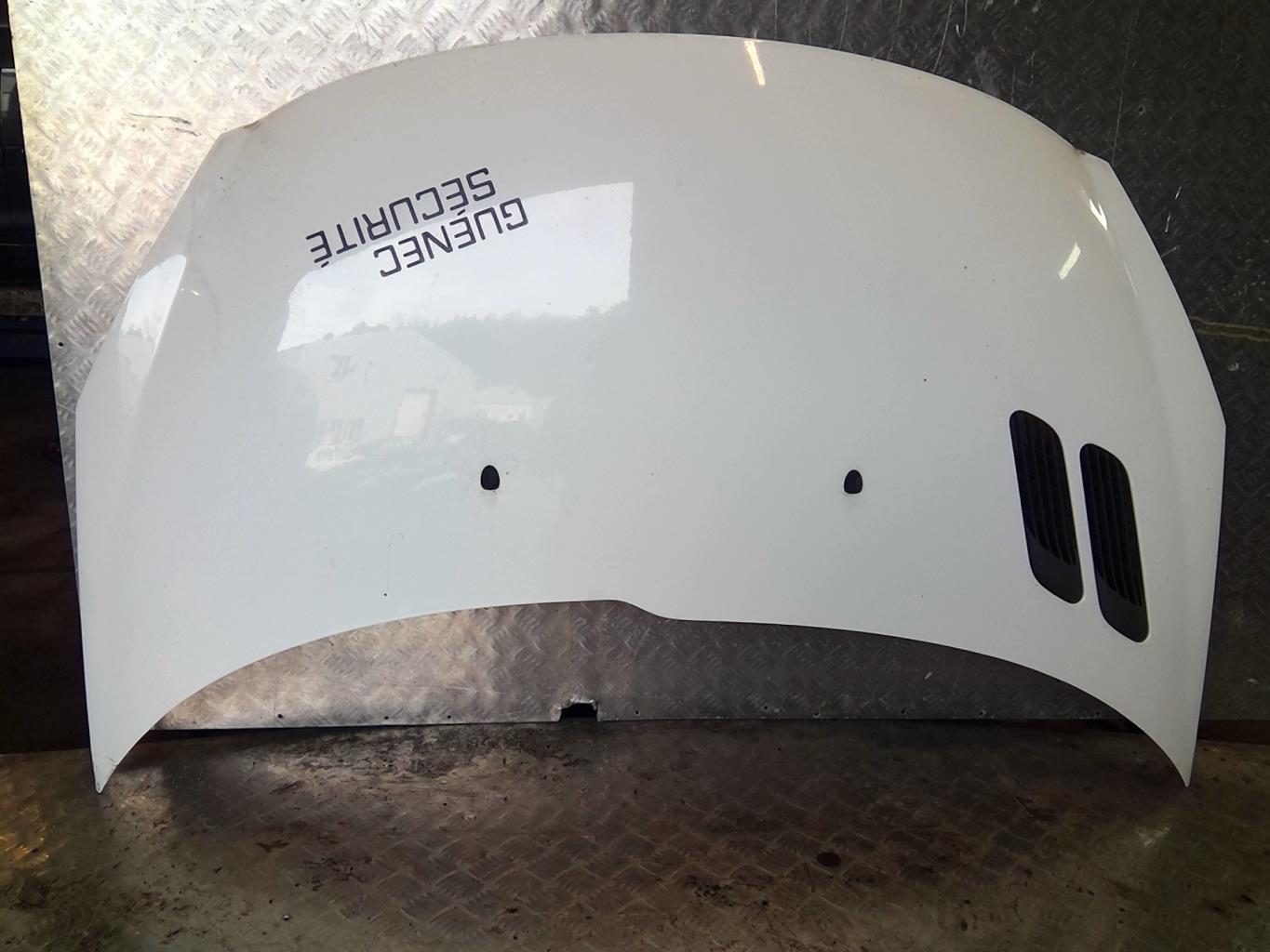 Capot PEUGEOT 206+ Diesel - 1