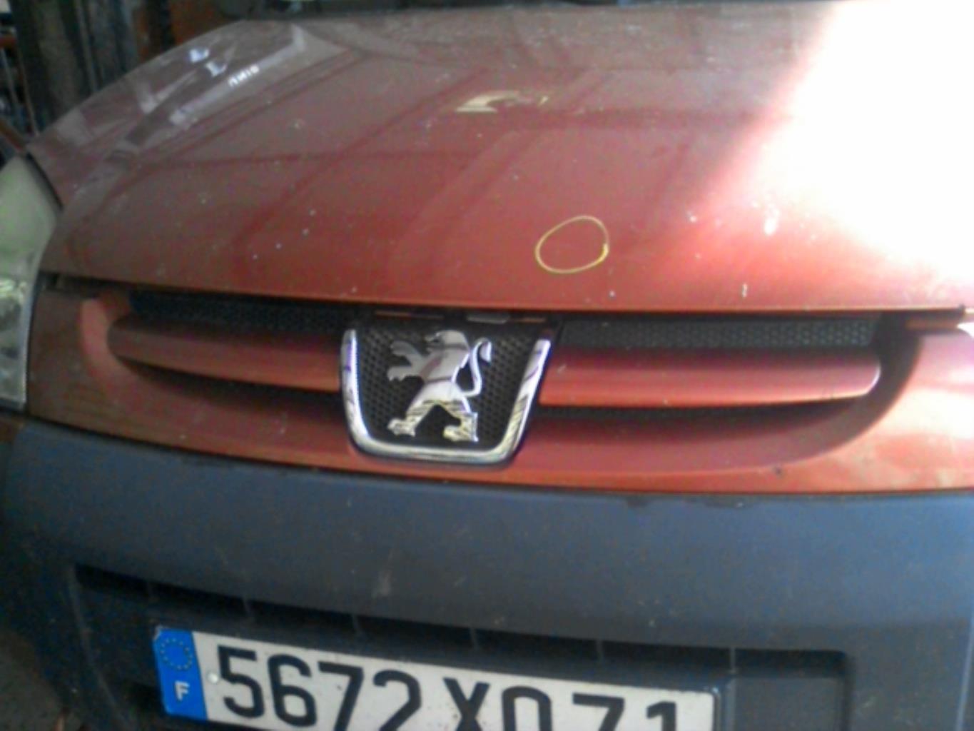 Calandra PEUGEOT PARTNER 1 PHASE 2 Diésel - 1