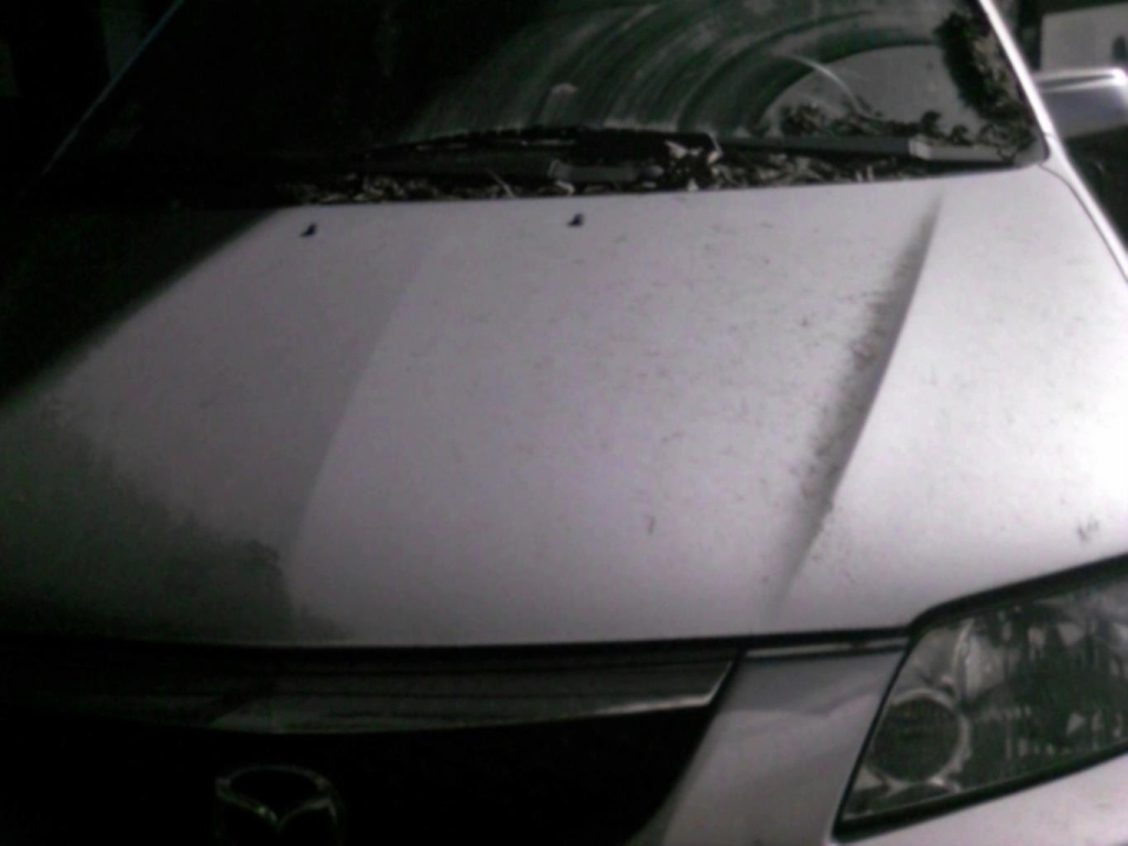 Capot MAZDA PREMACY Diesel - 1