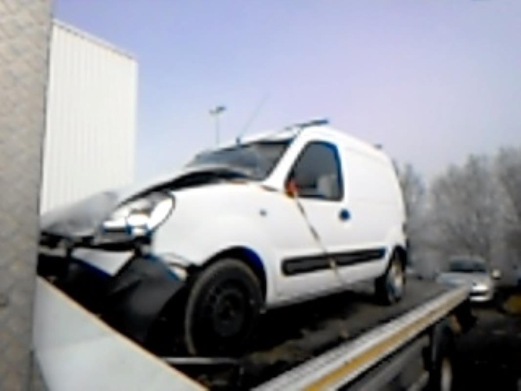 Porte avant gauche RENAULT KANGOO 1 PHASE 2 Diesel - 1