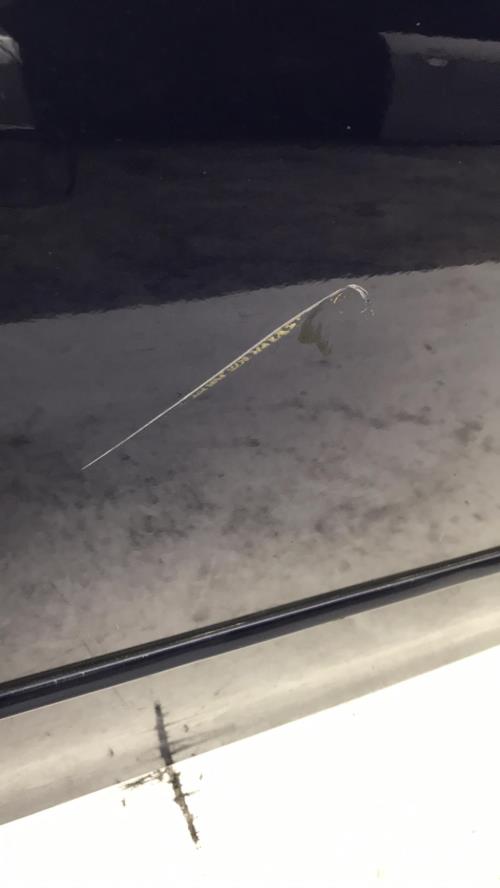 Porte avant gauche - MAZDA...