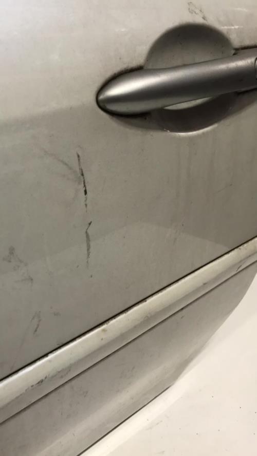 Porte avant gauche - RENAULT 