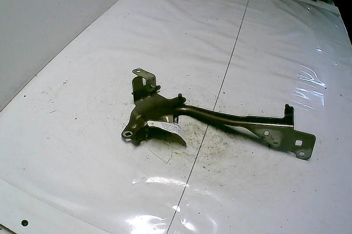 Charniere de capot RENAULT SCENIC 3 PHASE 2 Diesel - 1