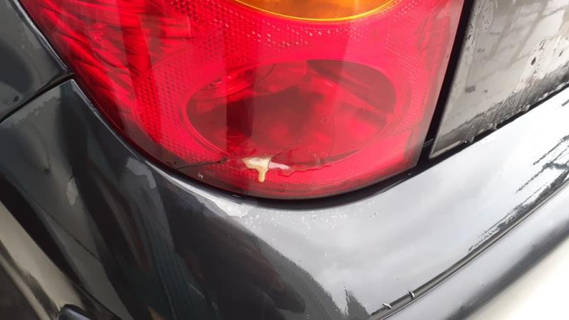 Image Capot - PEUGEOT 1007