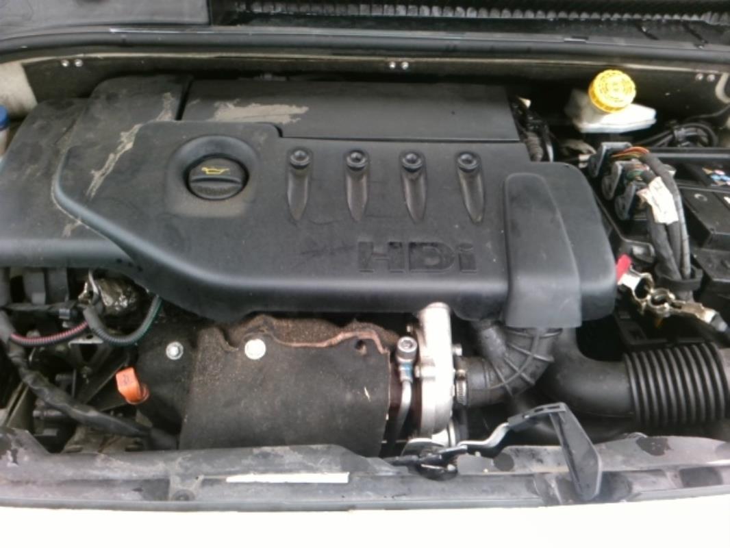 Image Ceinture arriere gauche - CITROEN C2