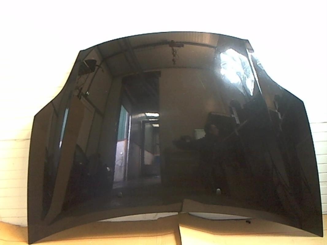 Image Capot - FIAT BRAVO 2