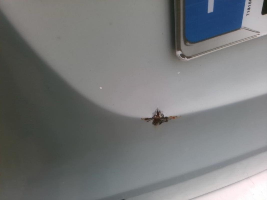 Image Injecteurs - RENAULT SCENIC 1