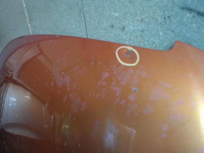 Image Capot - FIAT MULTIPLA