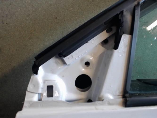 Image Porte avant gauche - RENAULT MEGANE 2