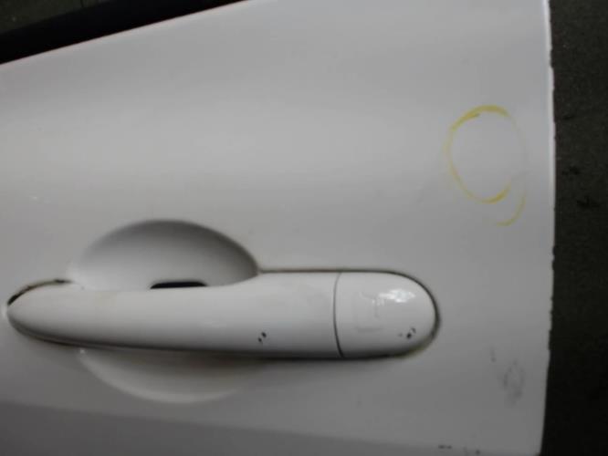 Image Porte avant gauche - RENAULT MEGANE 2