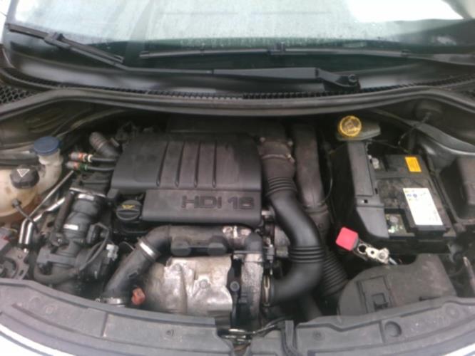 Image Feu arriere principal gauche (feux) - PEUGEOT 207