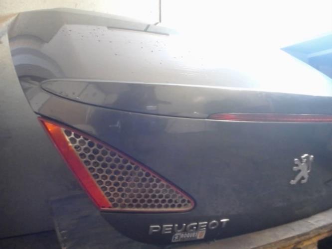 Image Malle/Hayon arriere - PEUGEOT 307