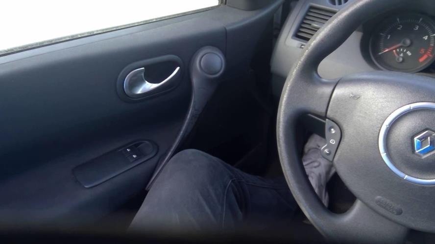 Image Porte avant gauche - RENAULT MEGANE 2