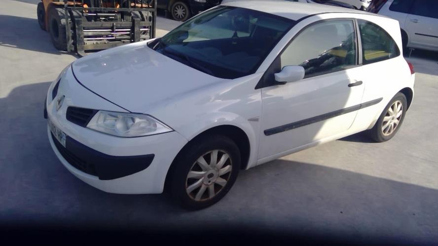 Image Porte avant gauche - RENAULT MEGANE 2