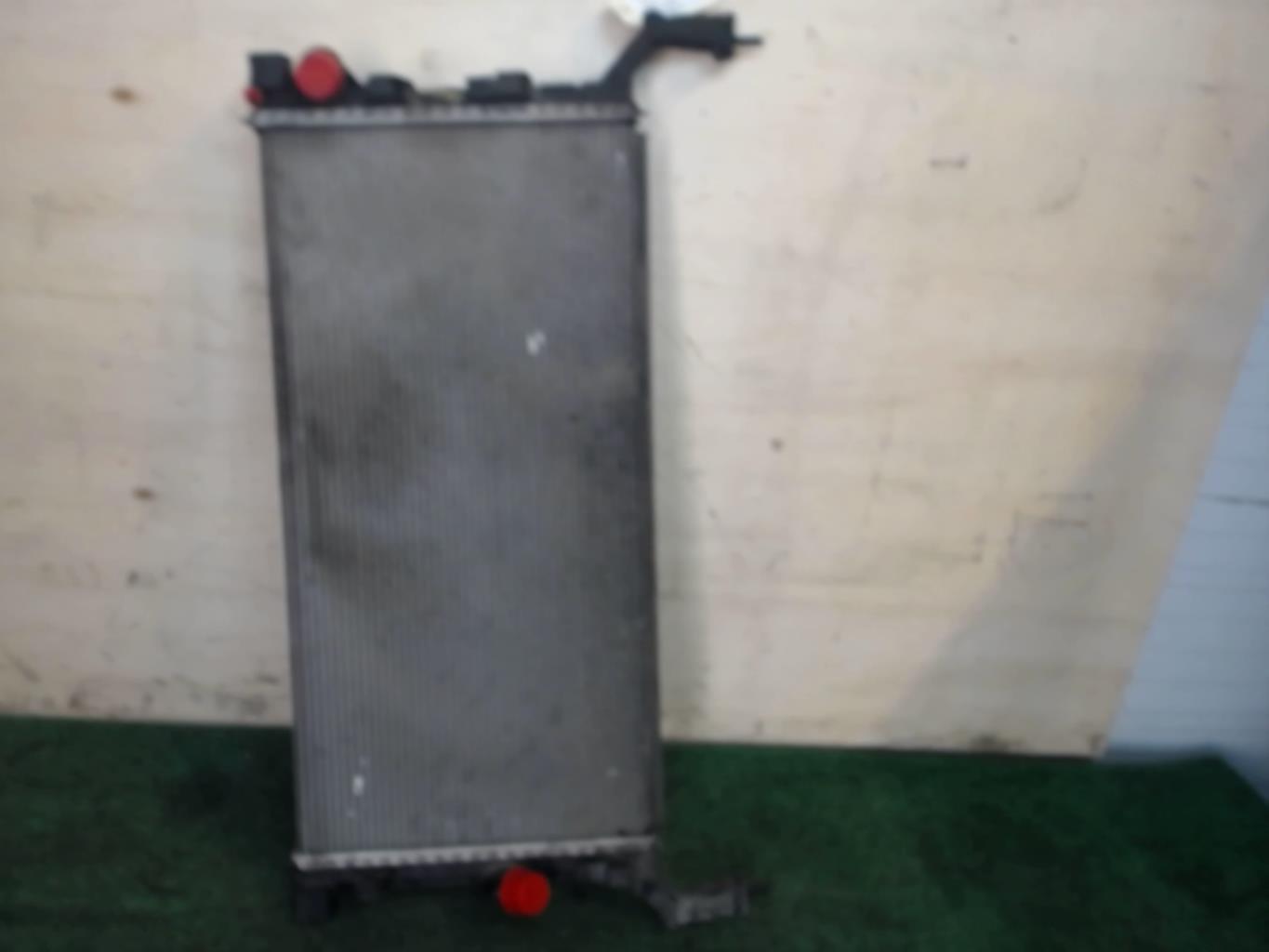 Radiateur eau RENAULT LAGUNA 3 PHASE 1 Diesel - 1