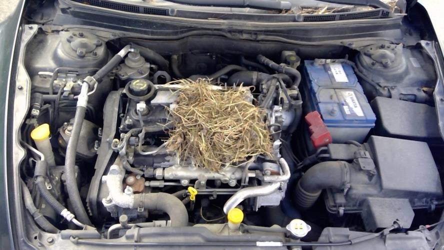 Image Trappe d'essence - MAZDA 6 2