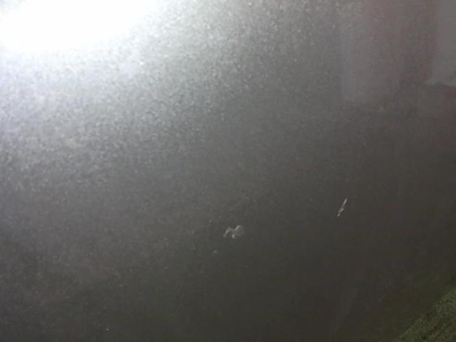 Image Capot - PEUGEOT 407