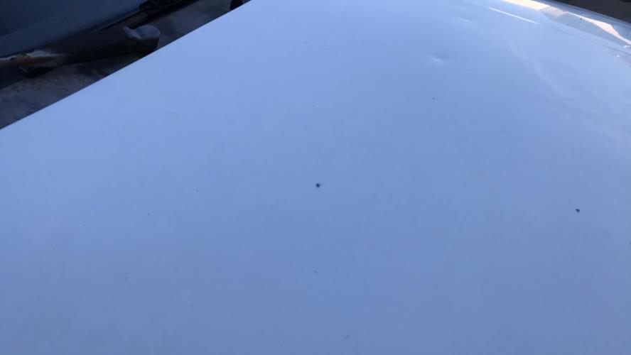 Image Retroviseur droit - RENAULT CLIO 1