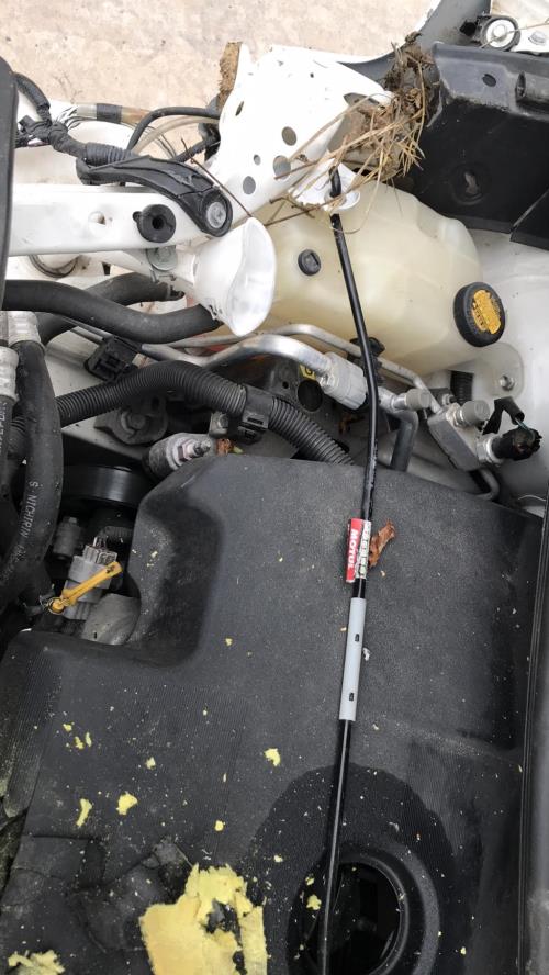 Image Air bag conducteur - TOYOTA VERSO