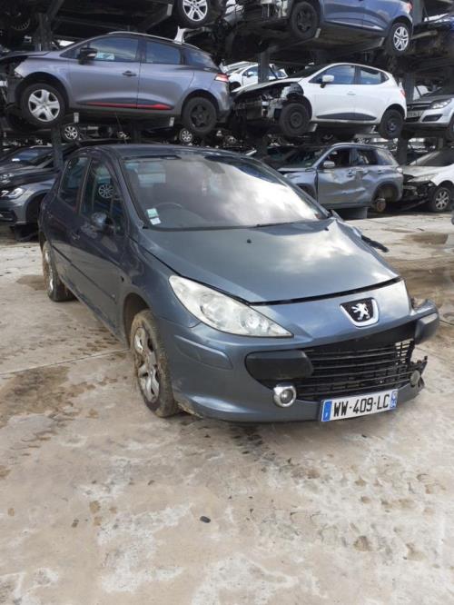 Image Porte avant droit - PEUGEOT 307