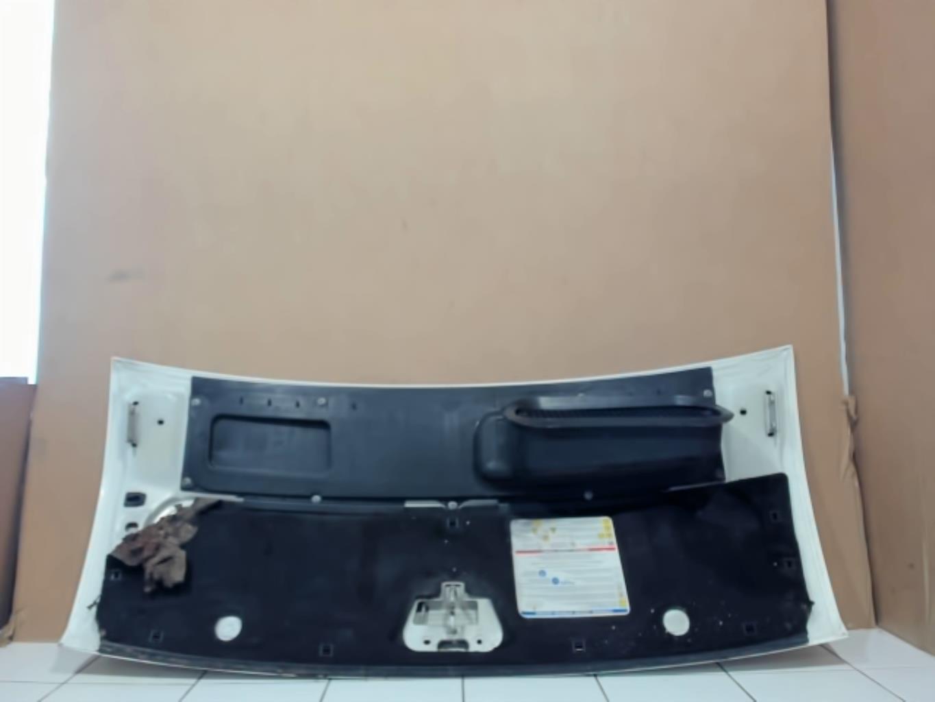 Capot FIAT DUCATO 3 PHASE 1 Diesel - 1