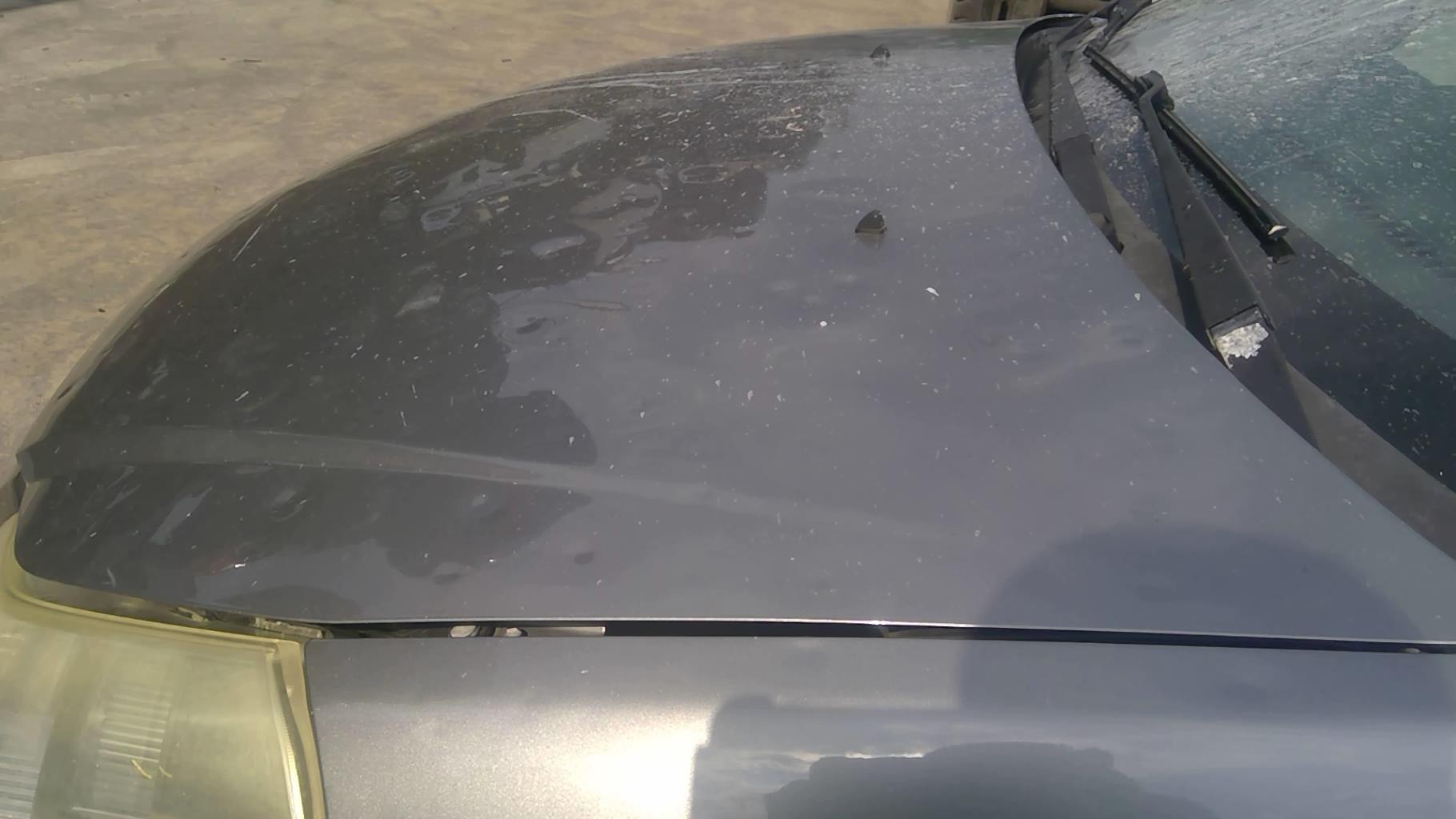 Image FIAT SEDICI