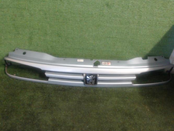 Image Calandre - PEUGEOT 806