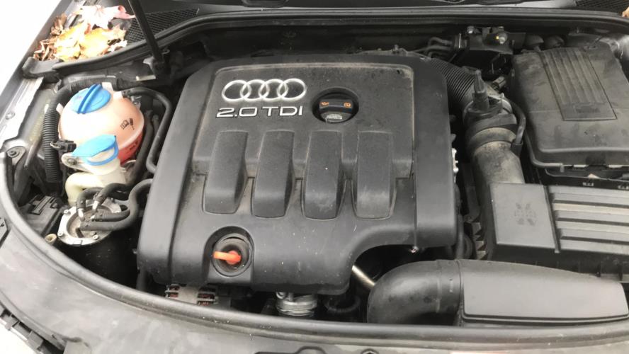 Image Porte arriere droit - AUDI A3 2