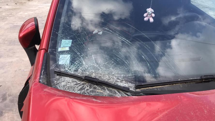 Image Cardan droit (transmission) - RENAULT CLIO 4