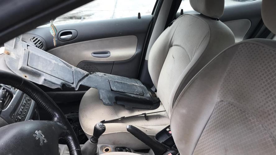 Image Porte arriere gauche - PEUGEOT 206