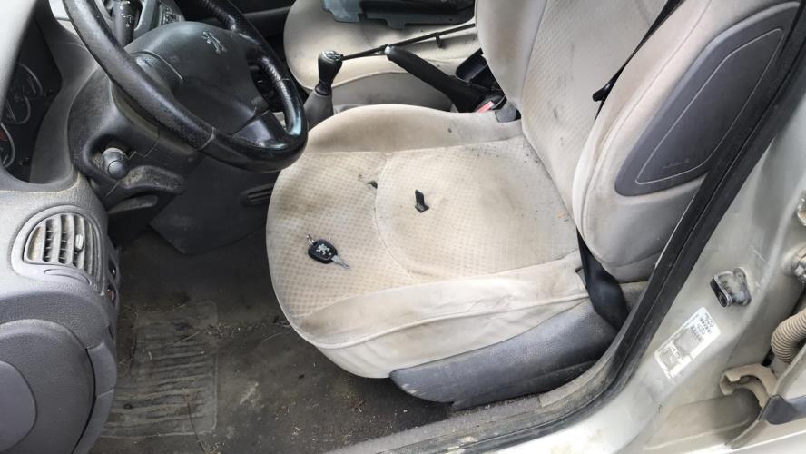 Image Porte arriere gauche - PEUGEOT 206