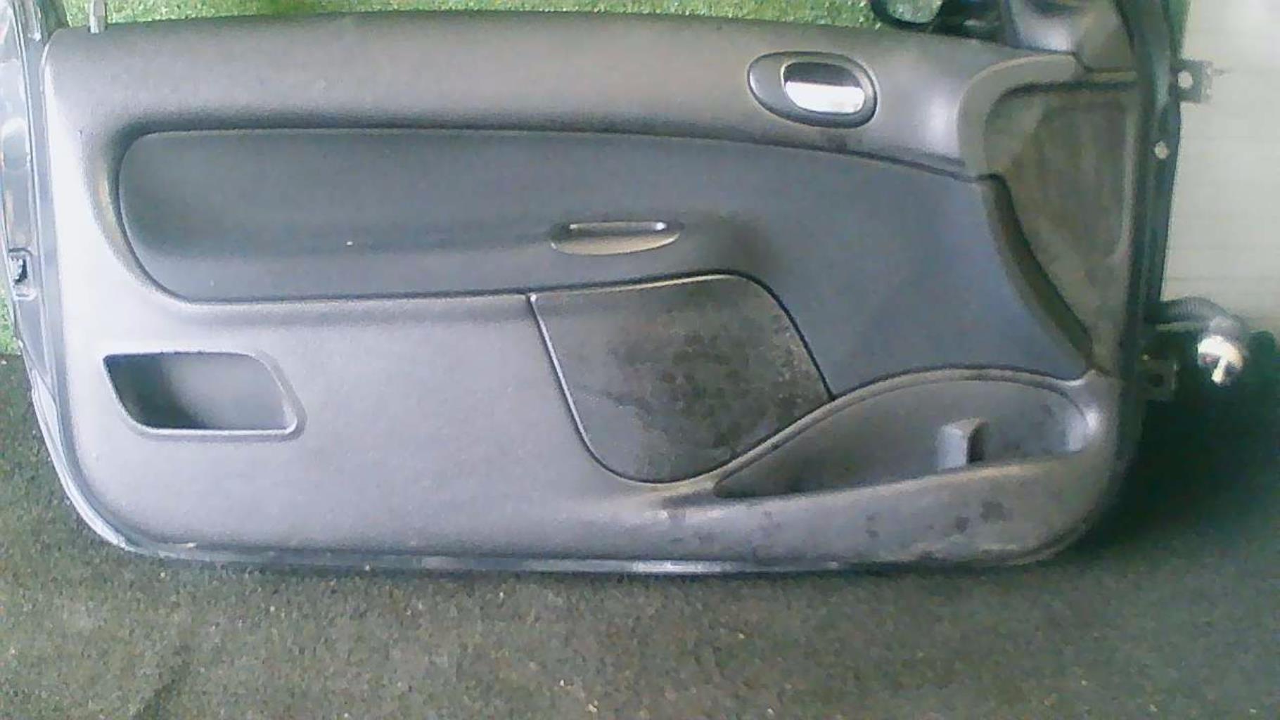 Portiera anteriore sinistra PEUGEOT 206 PHASE 2 Diésel - 1