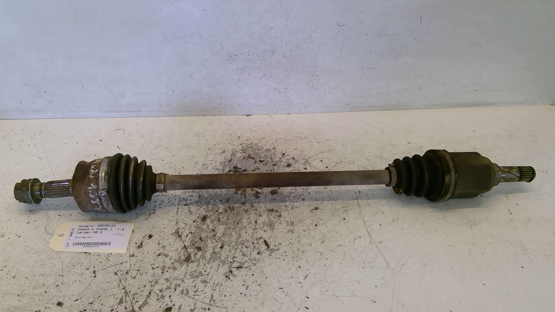 Giunto cardanico posteriore destro (trasmissione) FIAT PANDA 2 PHASE 1 Diésel - 1