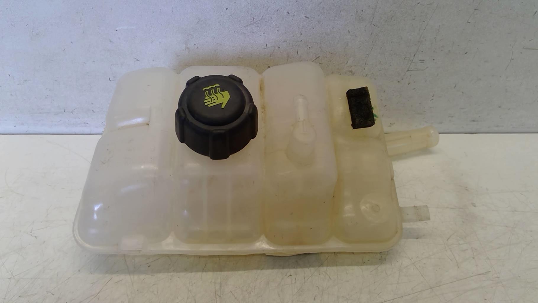 Vaso di espansione RENAULT SCENIC 4 Gasolina - 1