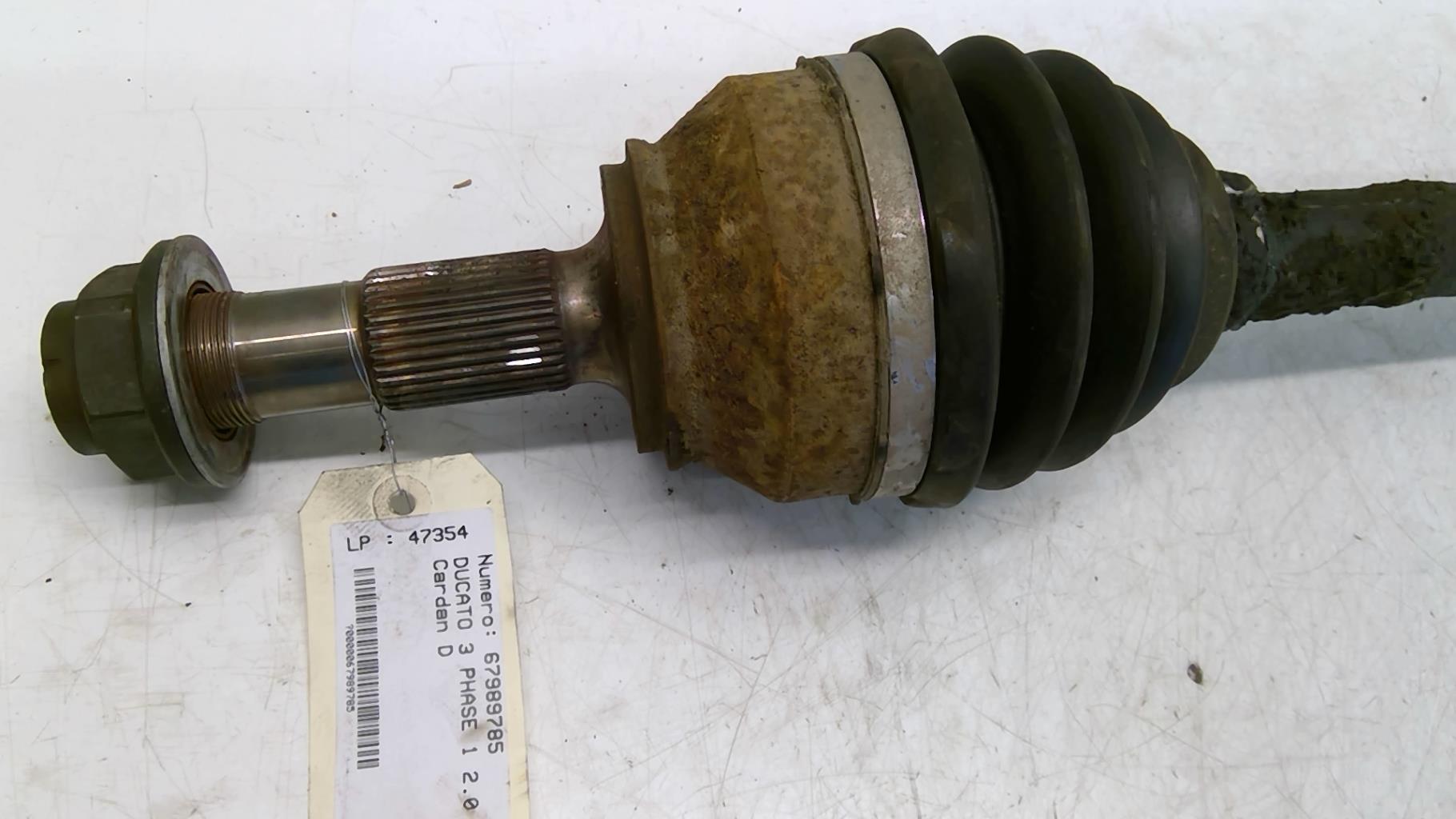 Giunto cardanico albero di trasmissione destro FIAT DUCATO 3 PHASE 1 Diésel - 1