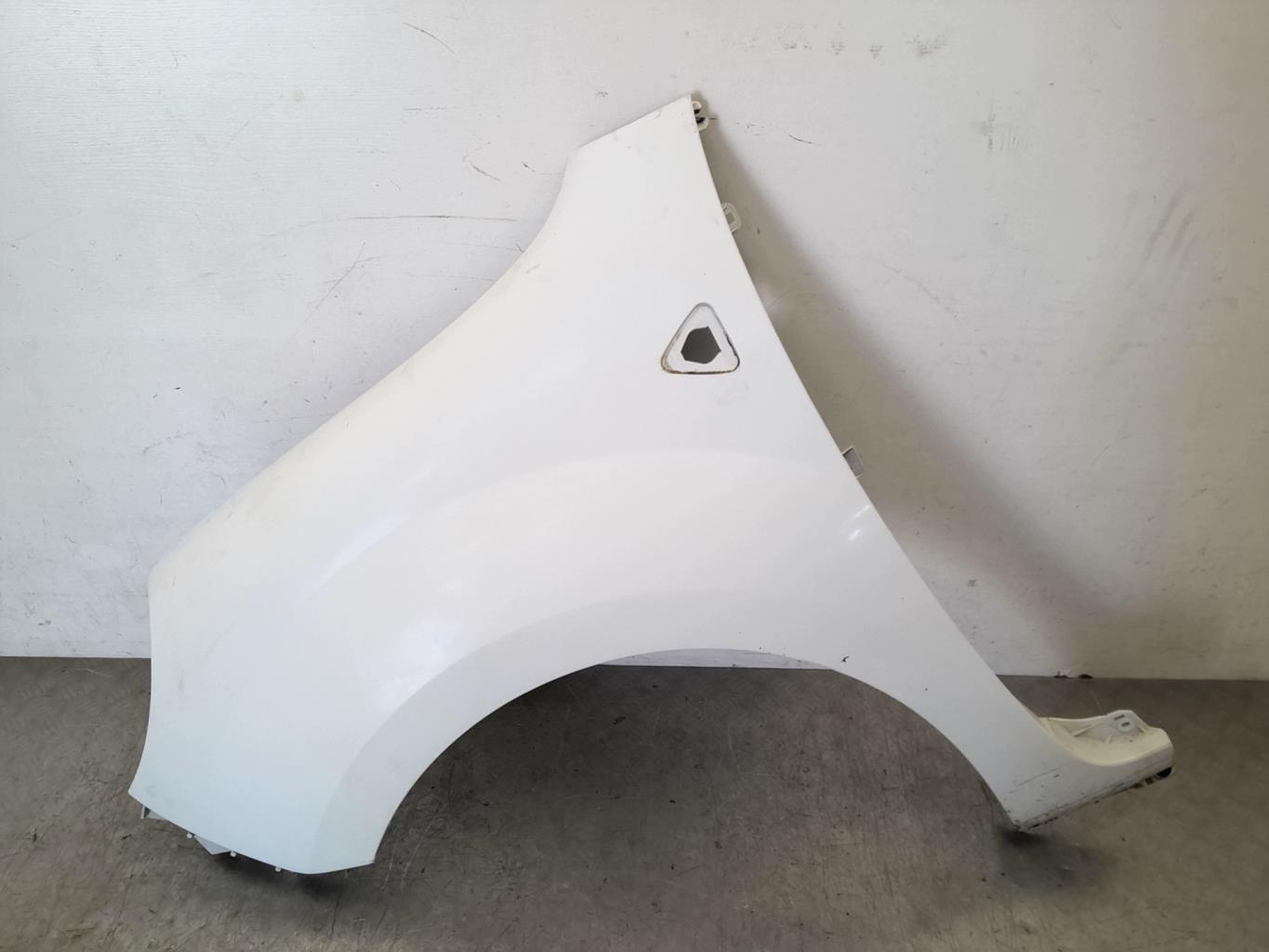 Parafango anteriore sinistro RENAULT KANGOO 2 PHASE 1 Diésel - 1