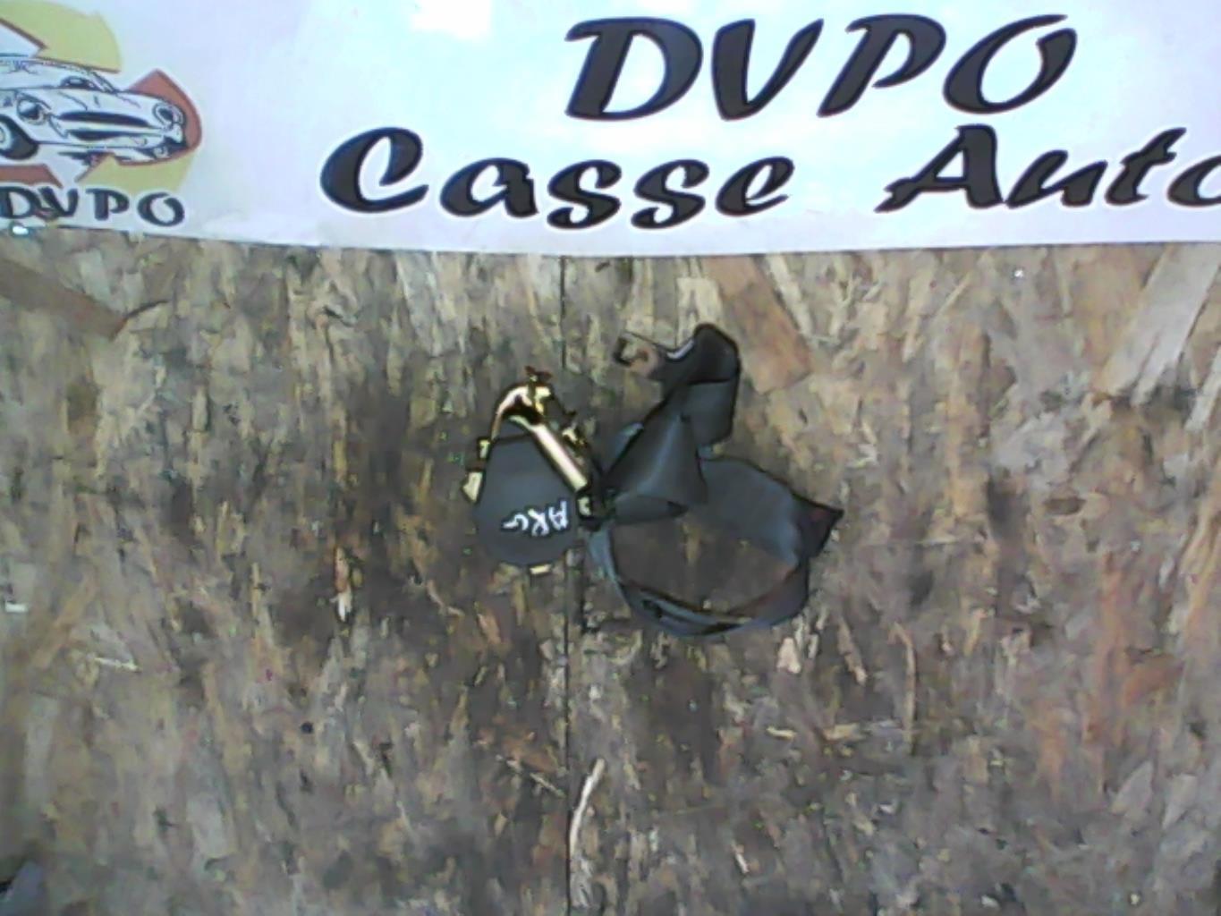Cintura di sicurezza posteriore sinistra PEUGEOT 206 PHASE 2 CABRIOLET Gasolina - 1