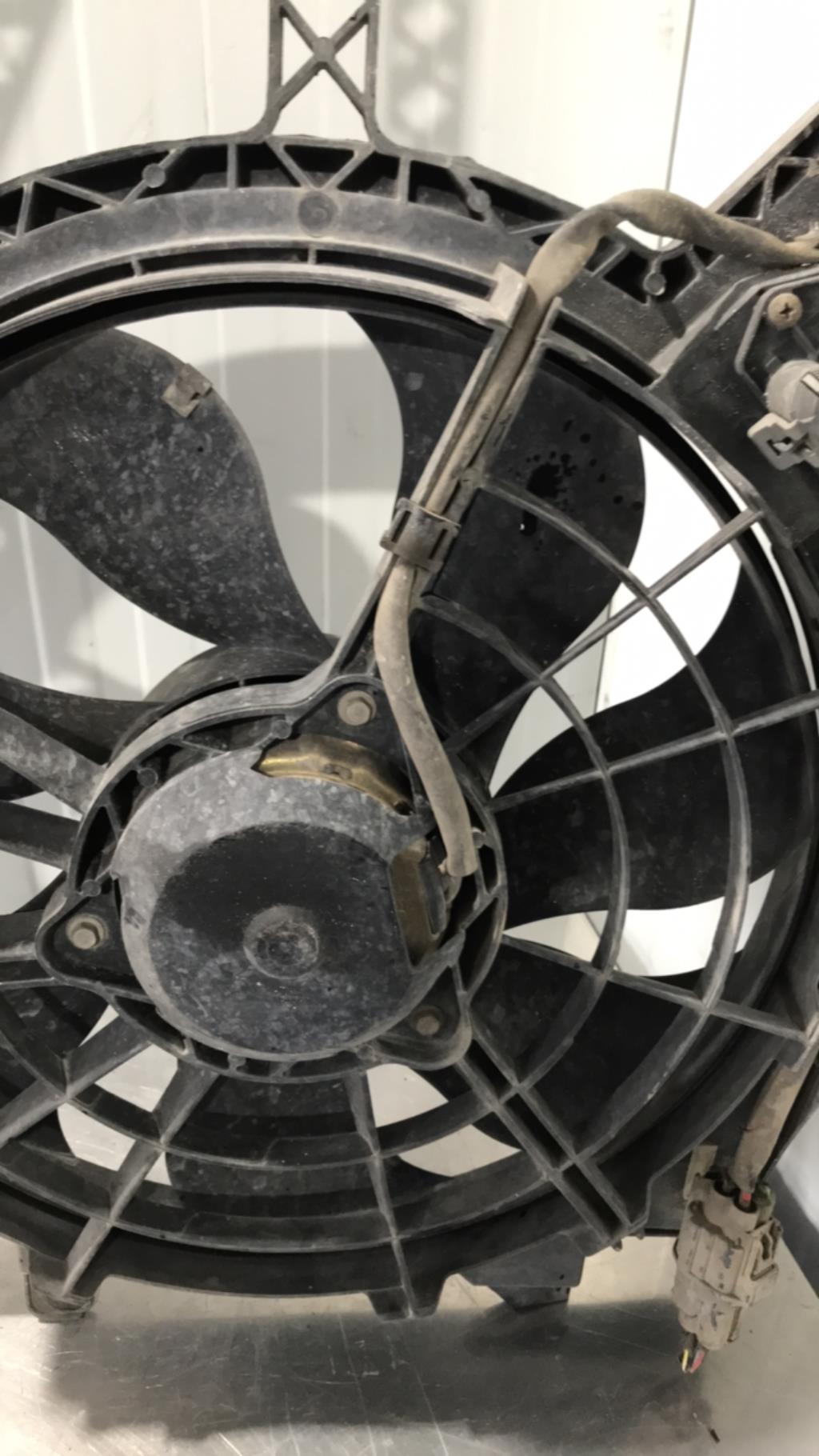 Motoventilatore radiatore FORD TRANSIT 3 Diésel - 1