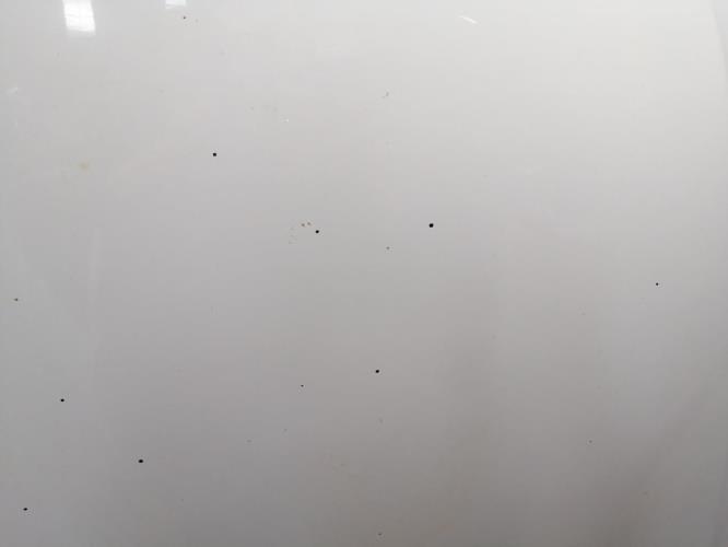 Photo de la pièce