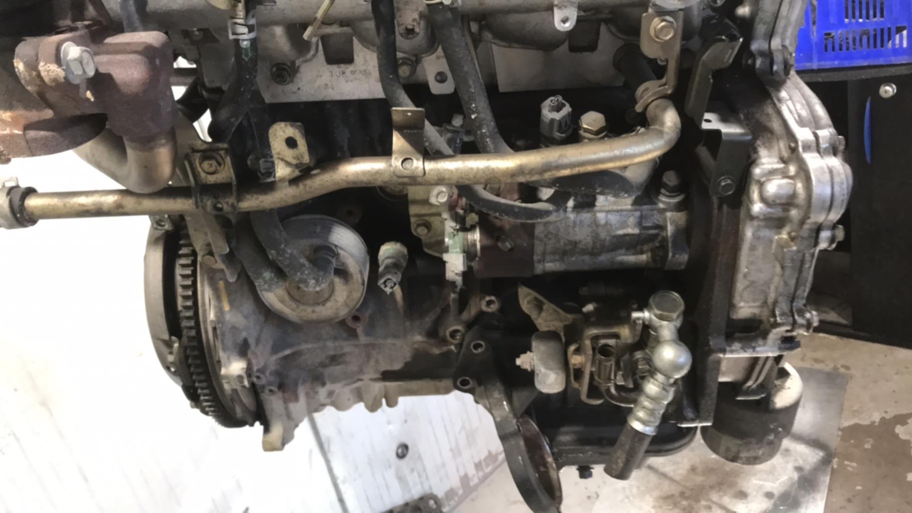 Moteur NISSAN PRIMERA 3 BREAK Diesel - 1