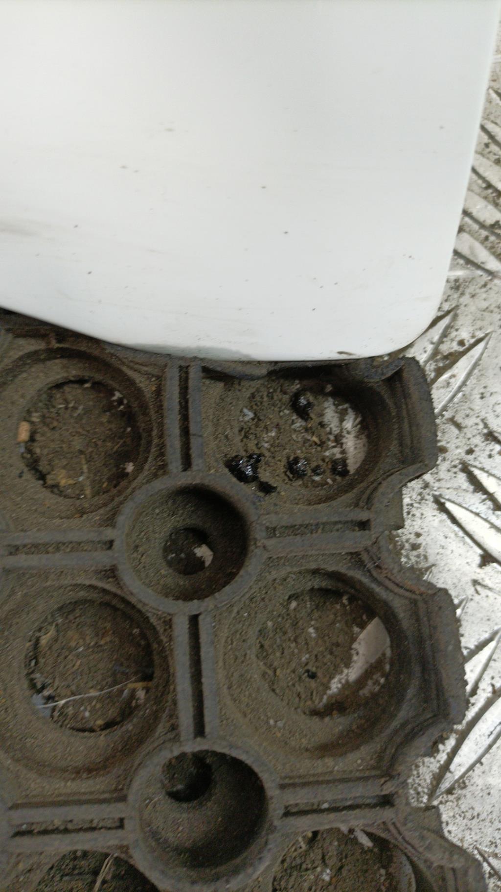 Capot RENAULT CLIO 3 PHASE 2 Diesel - 1