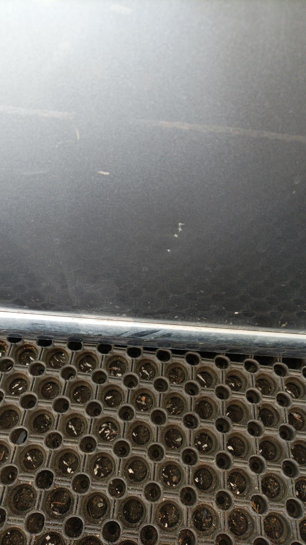 Porte avant gauche LANCIA YPSILON 4 PHASE 2 Diesel - 1