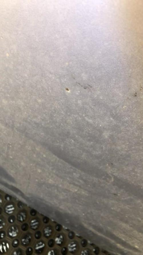 Photo de la pièce
